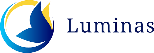 Luminas LLC